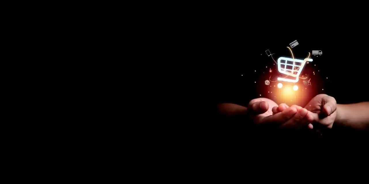 Teaser: Shop-Entwicklung für deinen Geschäftserfolg